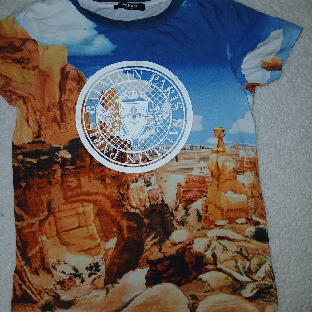 Balmain Kids Blue & Orange Scenic Logo Tee